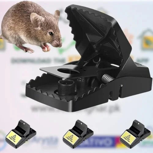 Reuseable Mouse Catcher